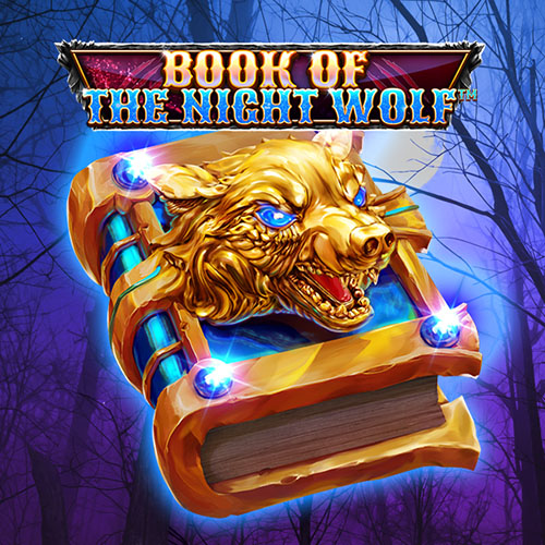 Book Of The Night Wolf